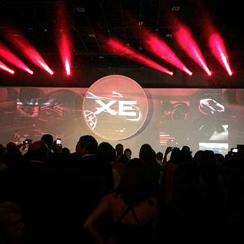 Gardening in lithuanian countryside