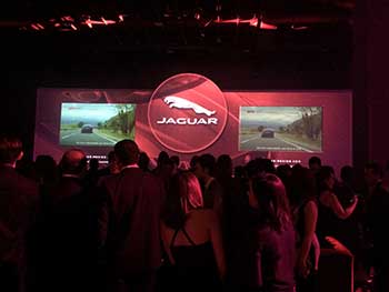 Gardening in lithuanian countryside