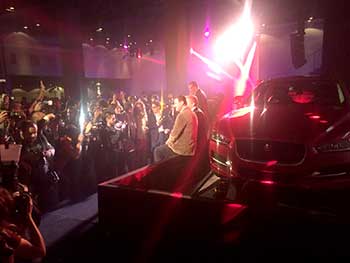 Gardening in lithuanian countryside